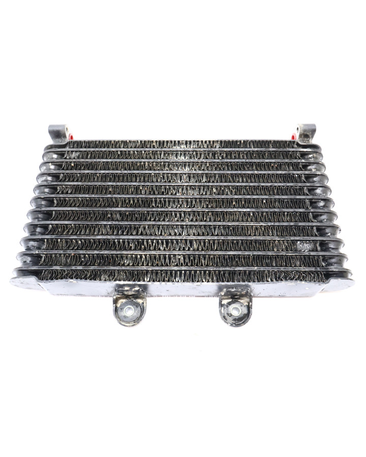 Suzuki GSF 1200S Bandit, oljekylare