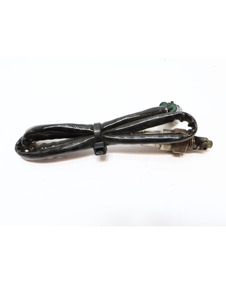 Drax Storm, lambdasond