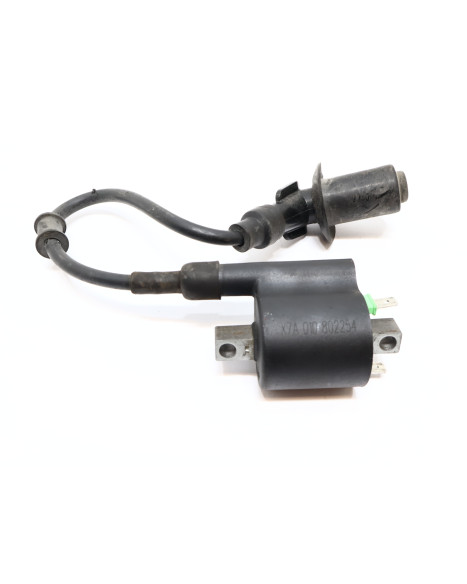 Peugeot Speedfight 4, tändspole