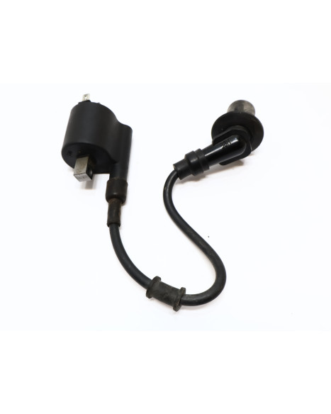 Peugeot Speedfight 4, tändspole