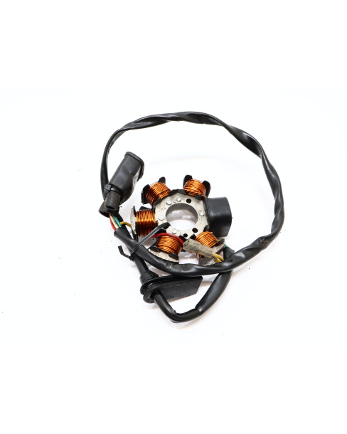 Yamaha DT50R, AM6 tändplatta