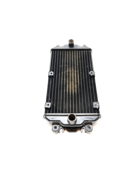 Harley-Davidson Street 750, kylare