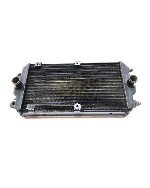 Harley-Davidson Street 750, kylare