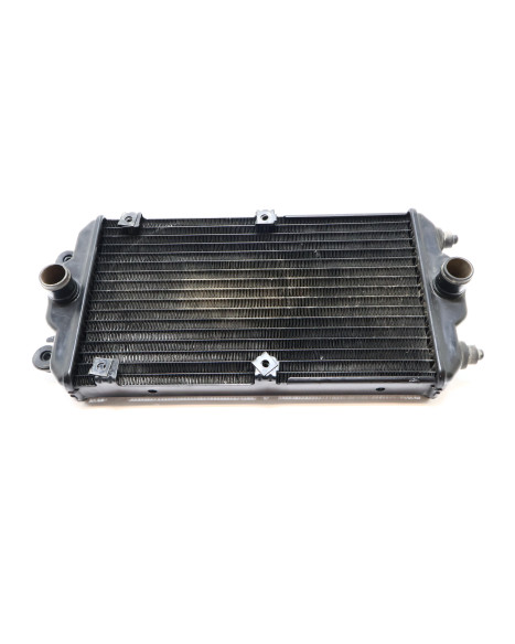 Harley-Davidson Street 750, kylare