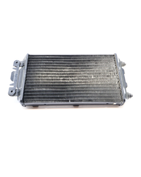 Harley-Davidson Street 750, kylare