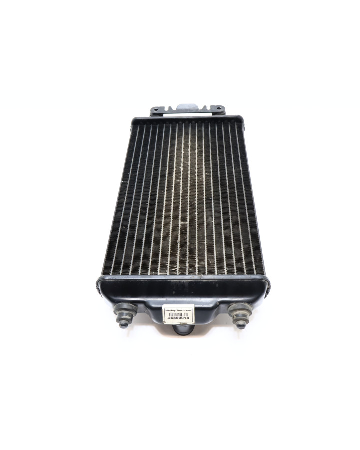 Harley-Davidson Street 750, kylare