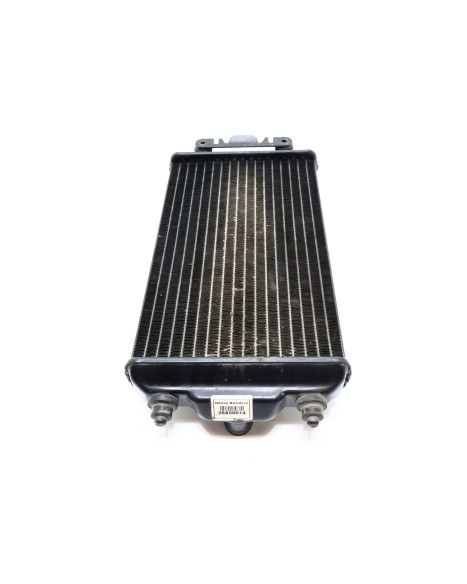 Harley-Davidson Street 750, kylare