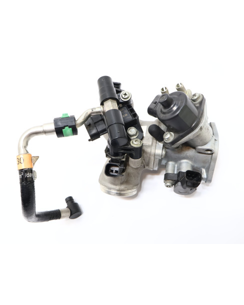 Harley-Davidson Street 750, gasspjäll/insprut