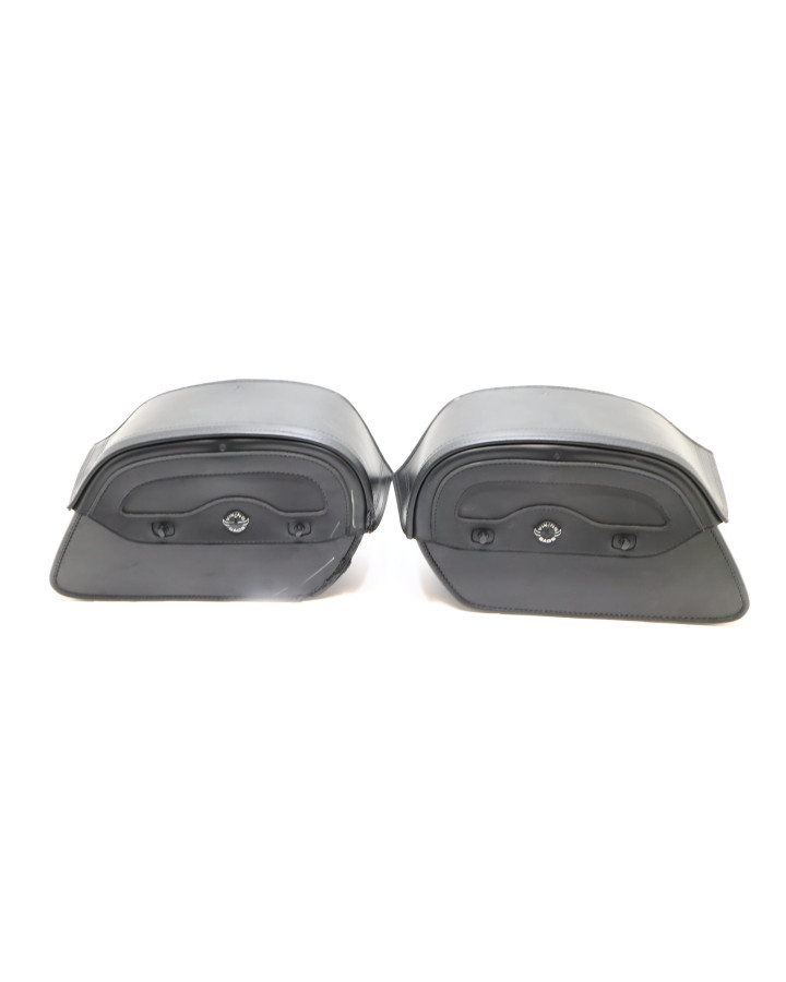 Harley-Davidson Street 750, Vikingbags...