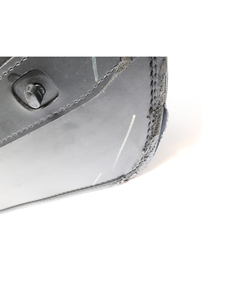 Harley-Davidson Street 750, Vikingbags...