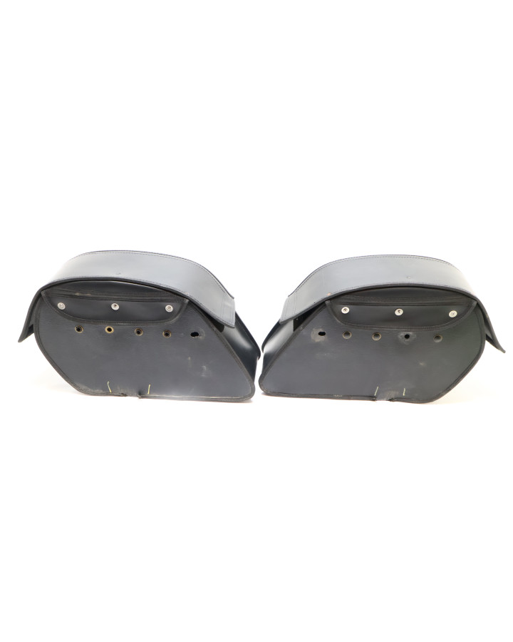 Harley-Davidson Street 750, Vikingbags...