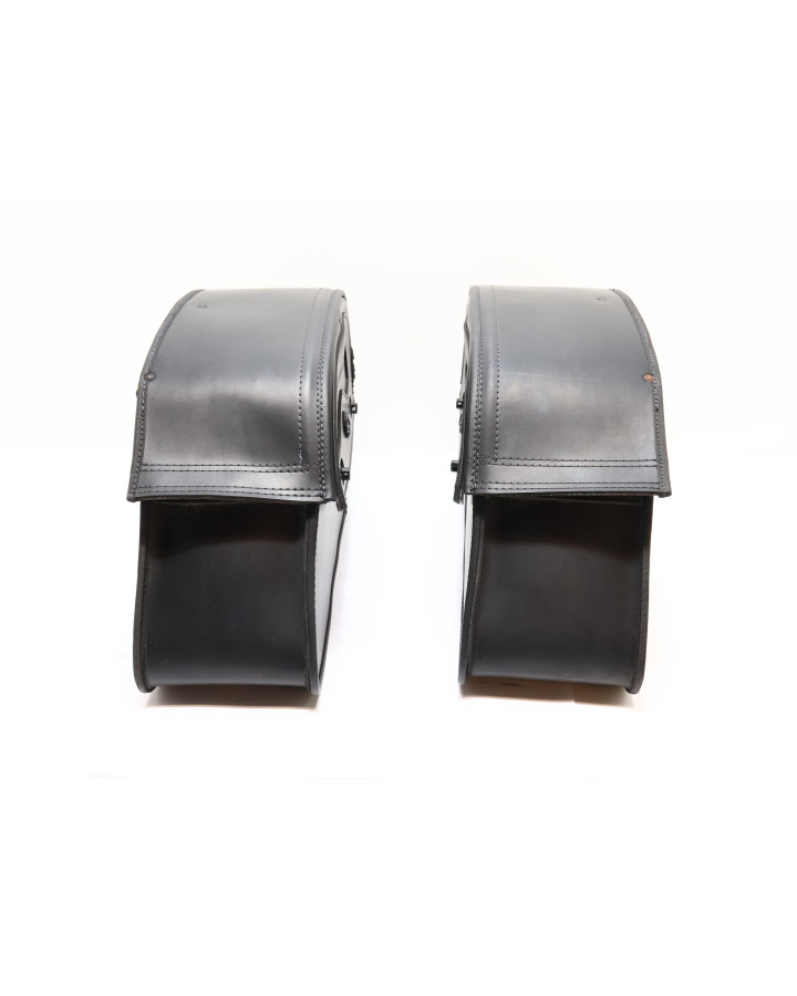 Harley-Davidson Street 750, Vikingbags...