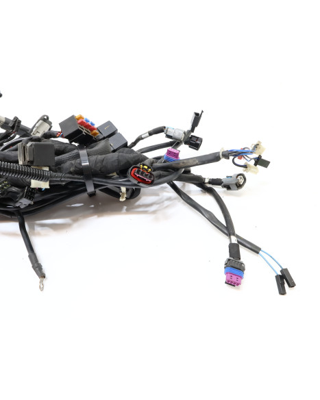 Harley-Davidson Street 750, kabelhärva