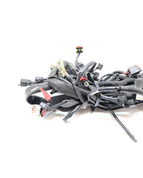 Harley-Davidson Street 750, kabelhärva