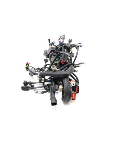 Harley-Davidson Street 750, kabelhärva