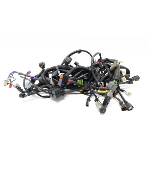 Harley-Davidson Street 750, kabelhärva