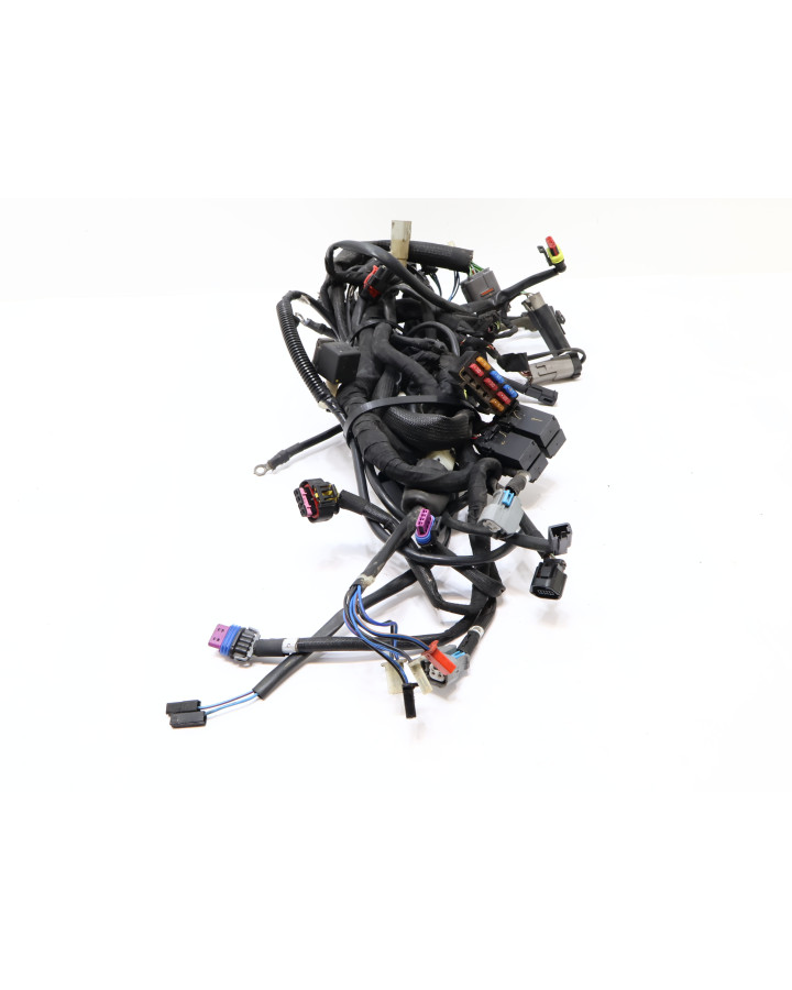 Harley-Davidson Street 750, kabelhärva