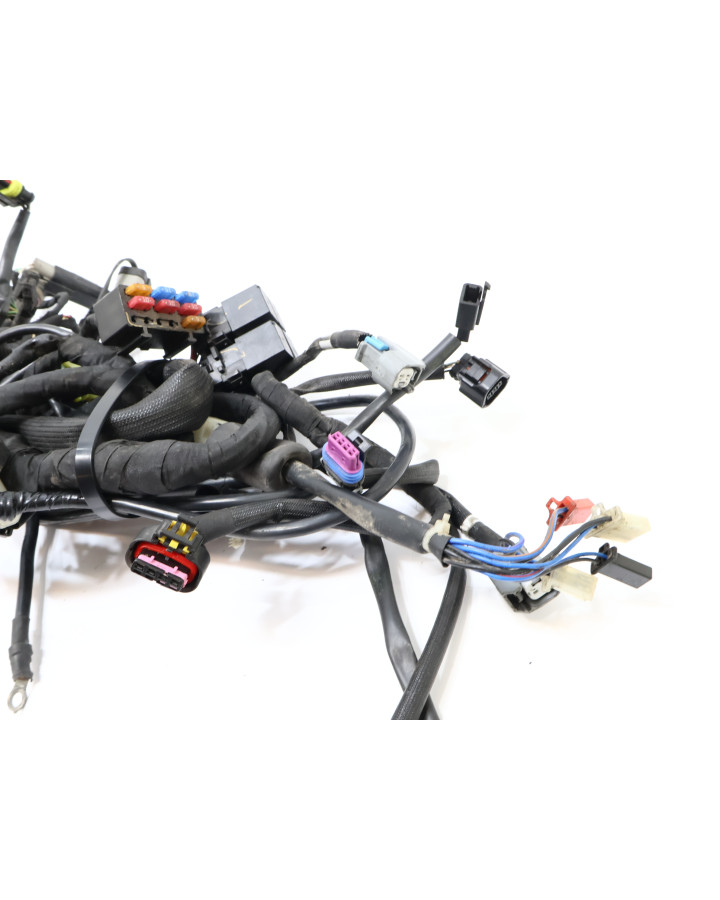 Harley-Davidson Street 750, kabelhärva