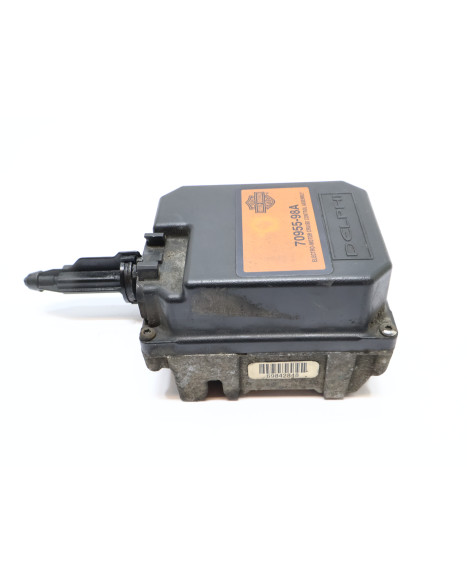 Harley-Davidson Electra Glide, modul farthållare