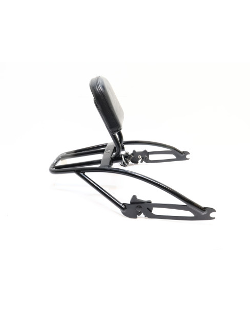 Harley-Davidson Street 750, sissy-bar/pakethållare