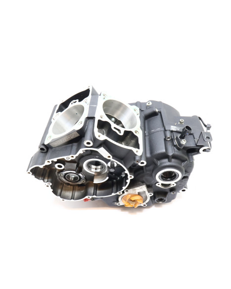 Harley-Davidson Street 750, motorblock