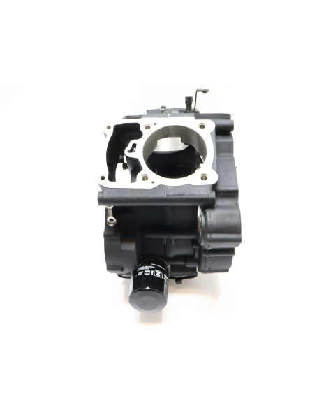 Harley-Davidson Street 750, motorblock