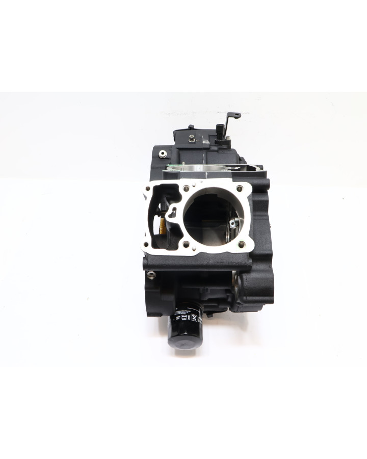 Harley-Davidson Street 750, motorblock