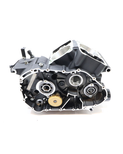 Harley-Davidson Street 750, motorblock