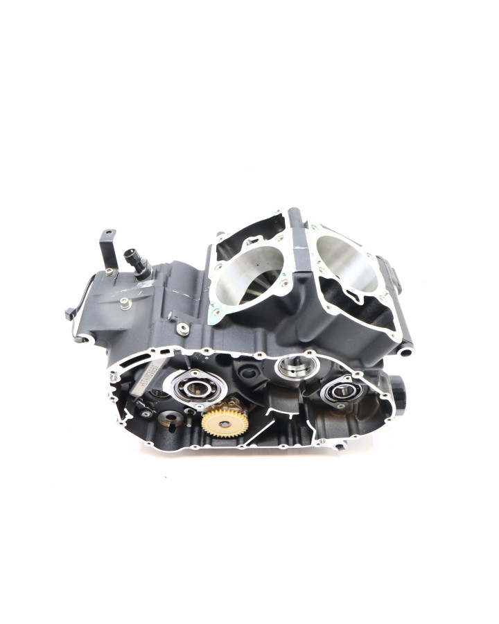 Harley-Davidson Street 750, motorblock