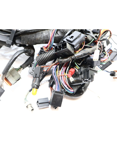 Harley-Davidson Electra Glide, kabelhärva