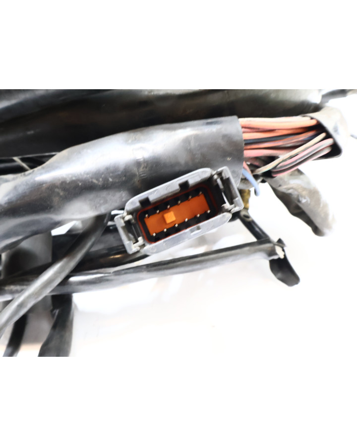 Harley-Davidson Electra Glide, kabelhärva