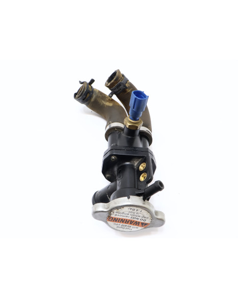 Harley-Davidson Street 750, termostathus