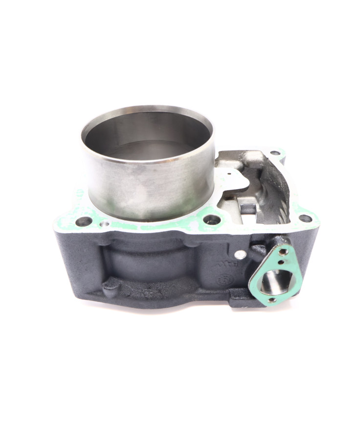 Harley-Davidson Street 750, bakre cylinder