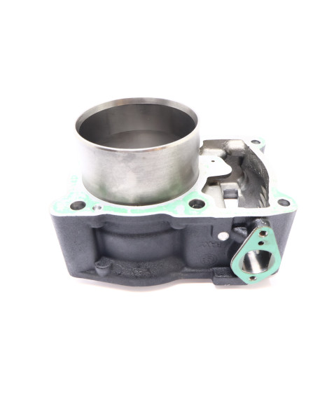 Harley-Davidson Street 750, bakre cylinder