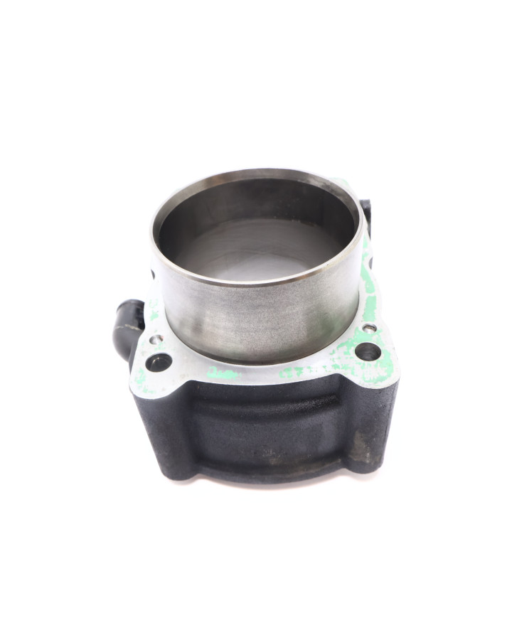 Harley-Davidson Street 750, bakre cylinder