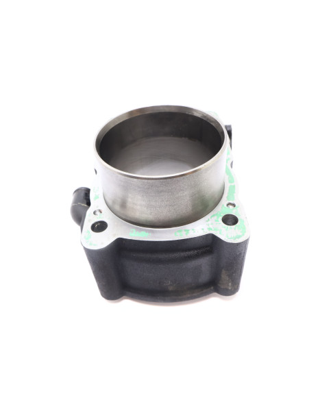 Harley-Davidson Street 750, bakre cylinder