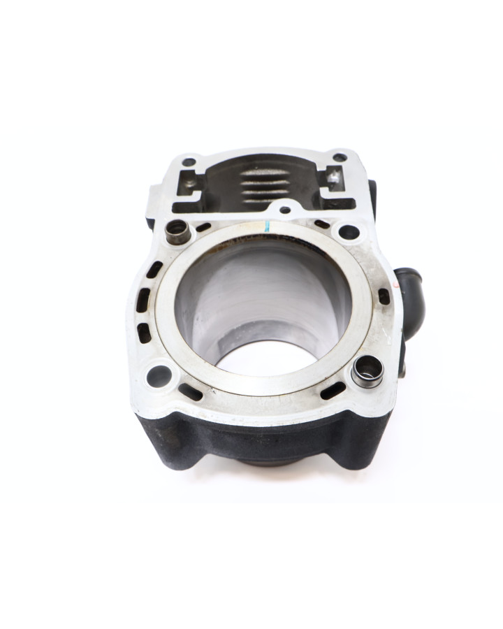 Harley-Davidson Street 750, bakre cylinder