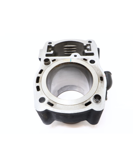 Harley-Davidson Street 750, bakre cylinder