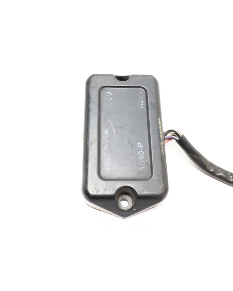 Harley-Davidson Softail Fat Boy, CDI/ECU