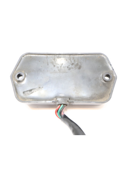 Harley-Davidson Softail Fat Boy, CDI/ECU