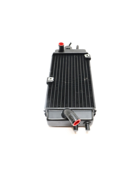 Aprilia SX 125, kylare