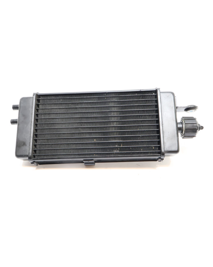 Aprilia SX 125, kylare