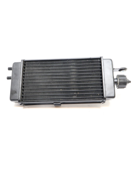 Aprilia SX 125, kylare