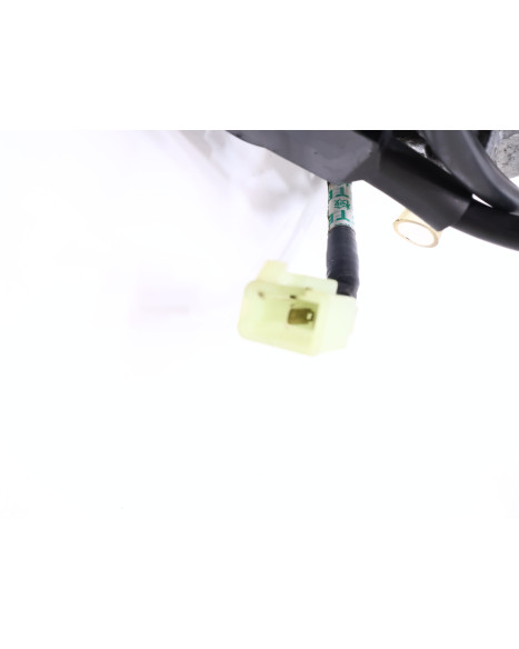 Kymco Grand Dink 250, förgasare