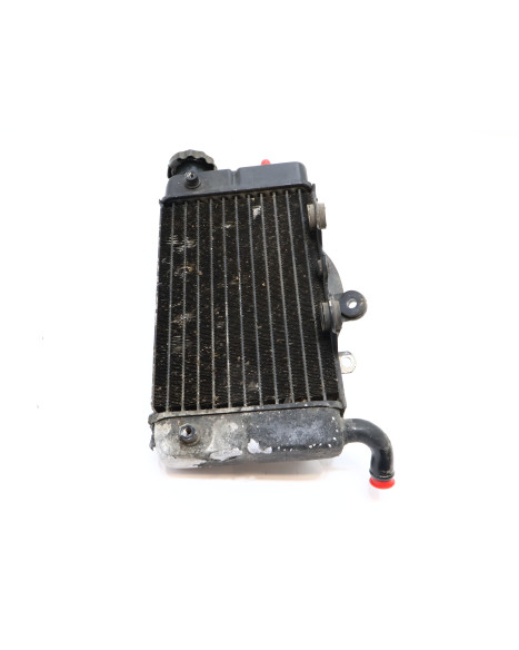 Honda XRV750 Africa Twin, kylare höger