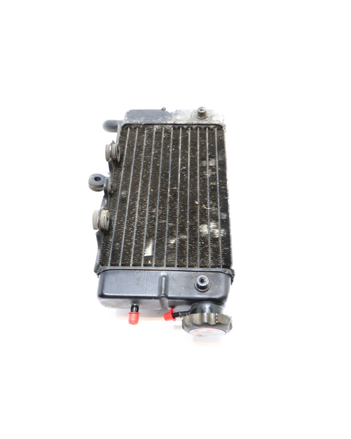 Honda XRV750 Africa Twin, kylare höger