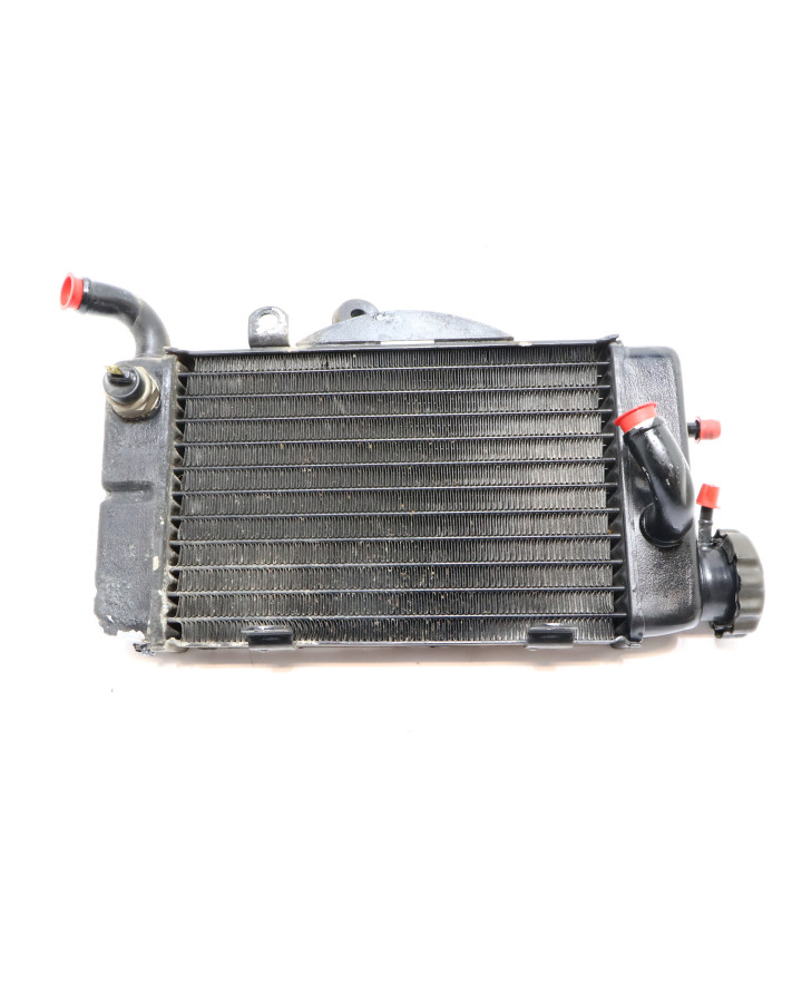 Honda XRV750 Africa Twin, kylare höger