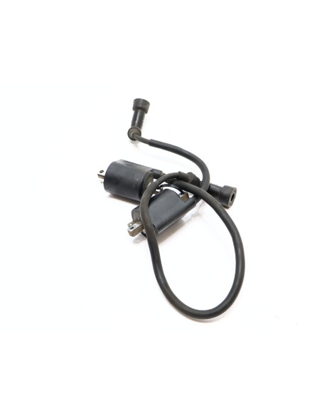 Yamaha XVS 1100 Dragstar, tändspole (par)