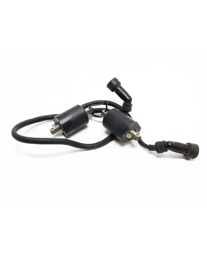 Yamaha XVS 1100 Dragstar, tändspole (par)