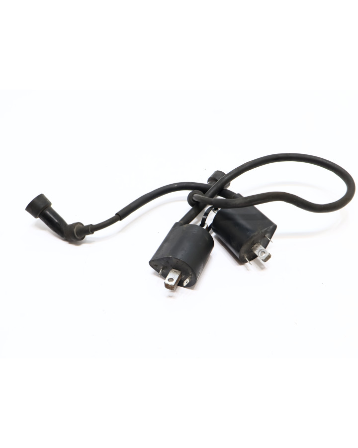 Yamaha XVS 1100 Dragstar, tändspole (par)